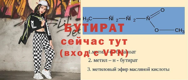 хмурый Арсеньев