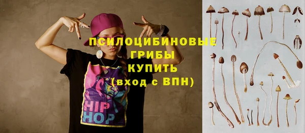 хмурый Арсеньев