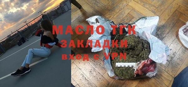 хмурый Арсеньев