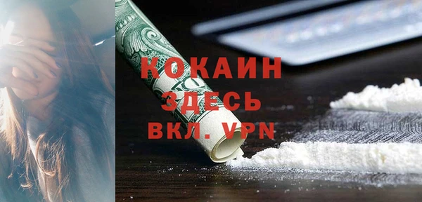 хмурый Арсеньев