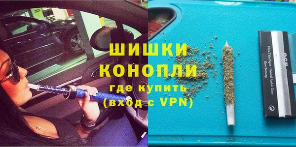 хмурый Арсеньев