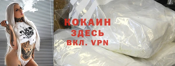 сатива Аркадак