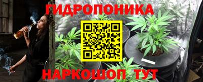 МДПВ Бийск