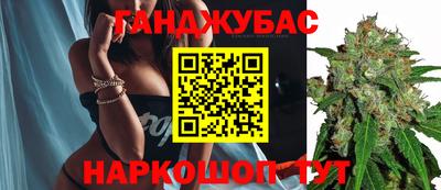 МДПВ Бийск