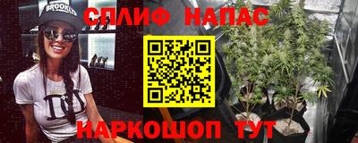 МДПВ Бийск