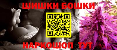 МДПВ Бийск