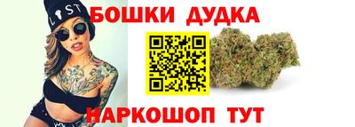 МДПВ Бийск