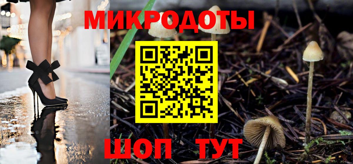 Галлюциногенные грибы Magic Shrooms  Вход с VPN  закладка  Долгопрудный 
