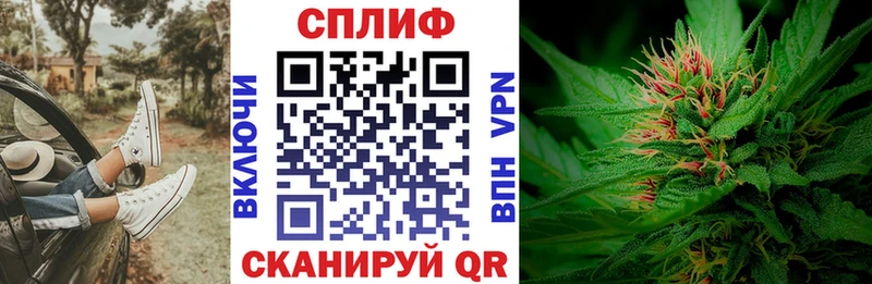 МАРИХУАНА сатива  мега ссылки  Долгопрудный 